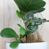 Clear acrylic plant stick with white printed custom text. A sweet and meaningful gift perfect for teachers, nurses, tutors, carers and parents.